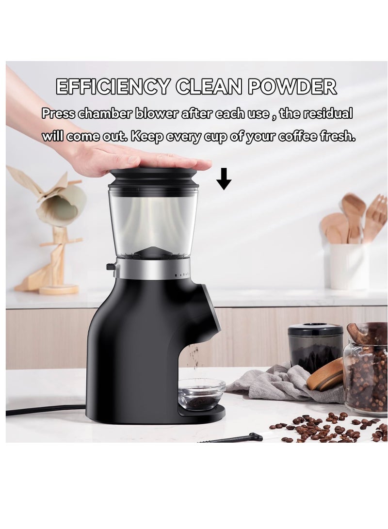 Electric Burr Coffee Grinder with Digital Control, Espresso Grinder with 31 Precise Settings for 1-10 Cups, Coffee Grinder Electric with Time Display, Black
