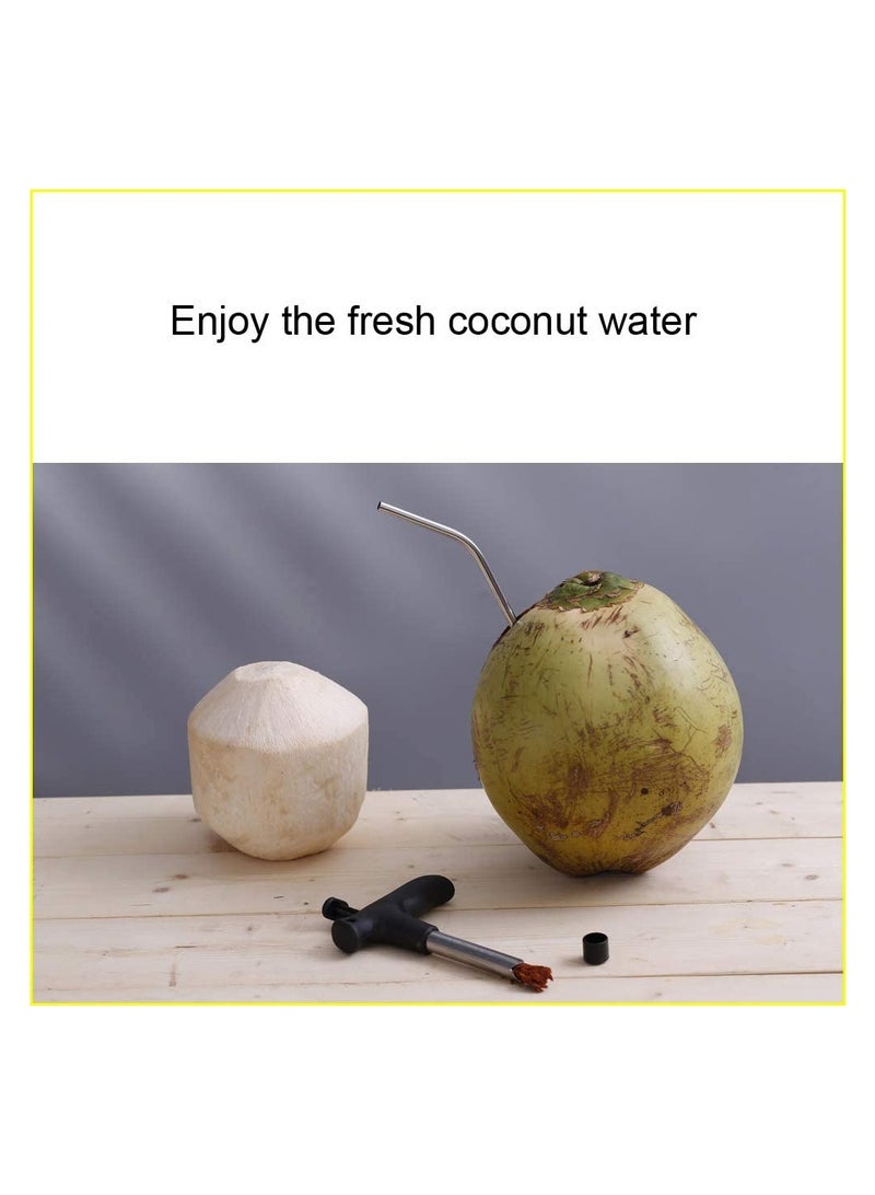 2 Pack Coconut Opener Tool with 4 Reusable Straws and Brush, Easy & Convenient Straw Hole Maker, Food Grade Stainless Steel Opening Pouch Tap for Young Fresh Thai Hawaii Coco Water Juice