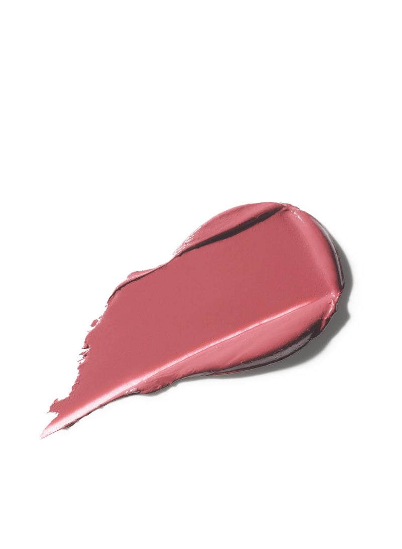 Stain Lipstick Twig 824