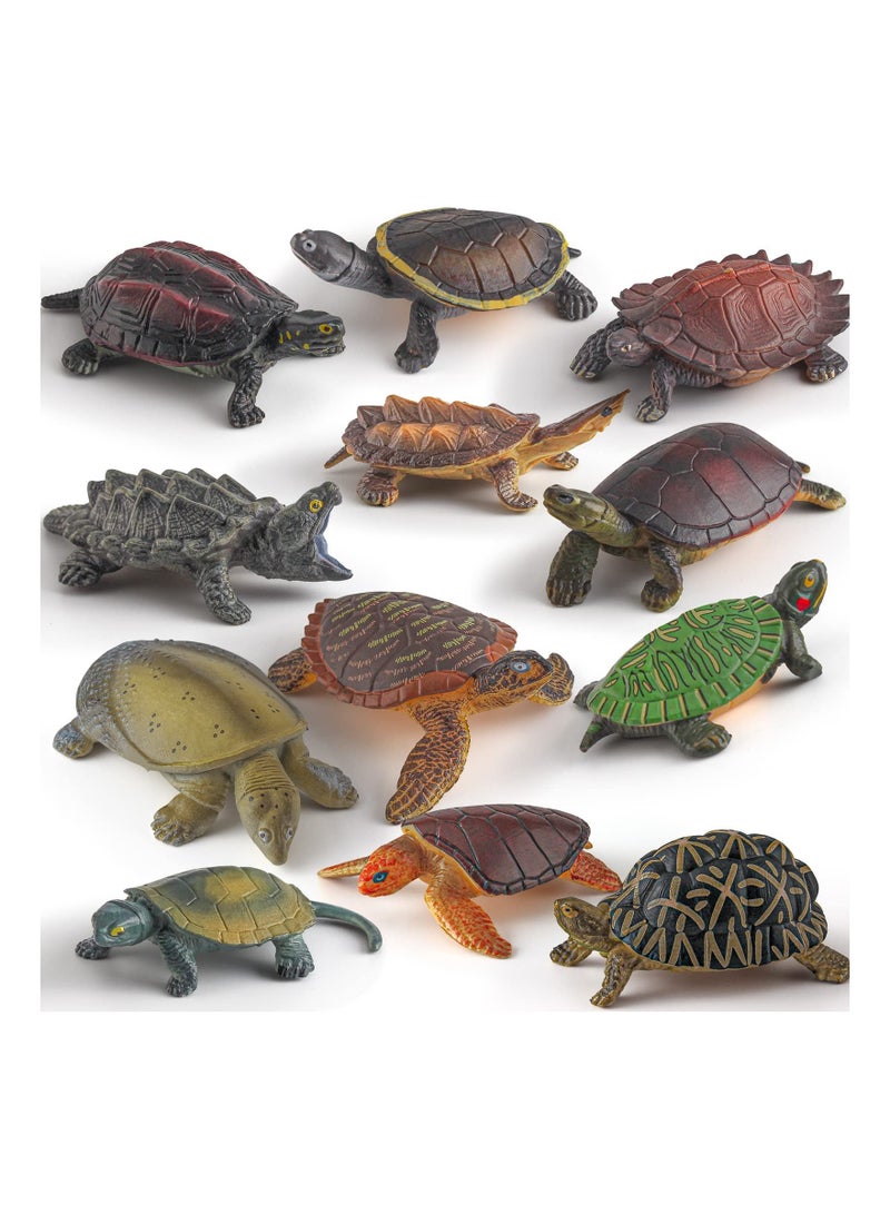 Tortoise Wild Animal Model Figure Playsets, 12 PCS Realistic Snapping Turtle Grass Like Water Figurines Ornament Education Cognitive Toy for Boys Girls Kids