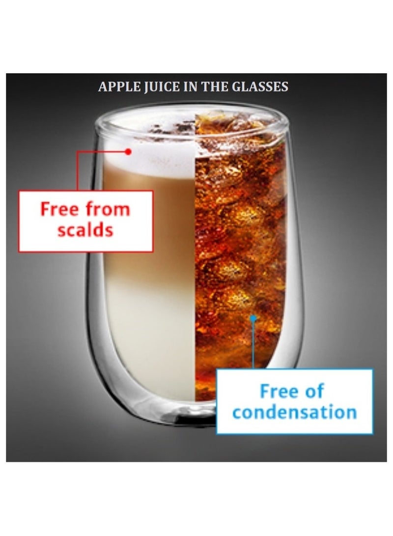 Double Wall Glass Cup 2Pcs 450Ml