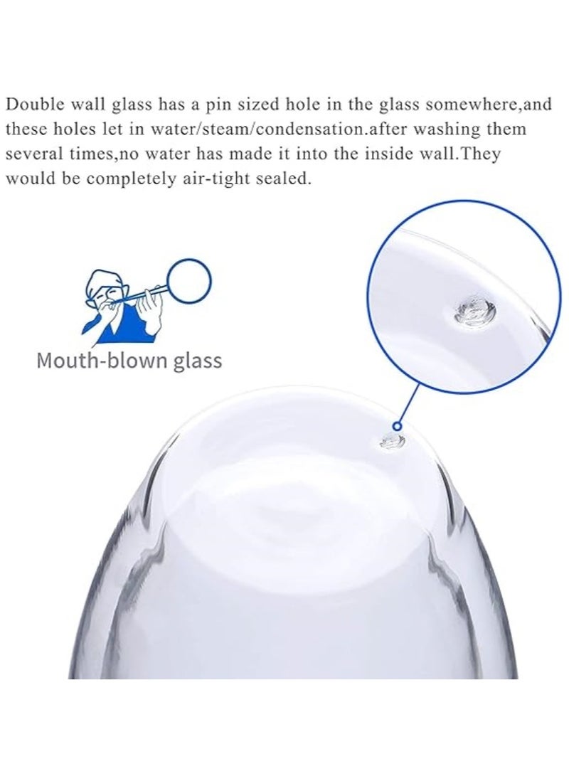 Double Wall Glass Cup 2Pcs 450Ml