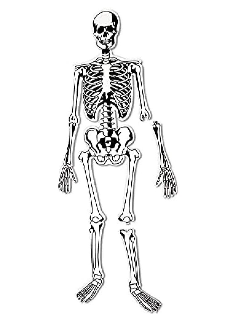 Skeleton Foam Floor Puzzle