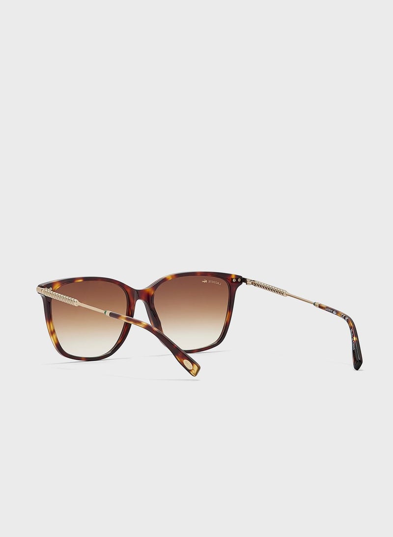 Rectangle Sunglasses