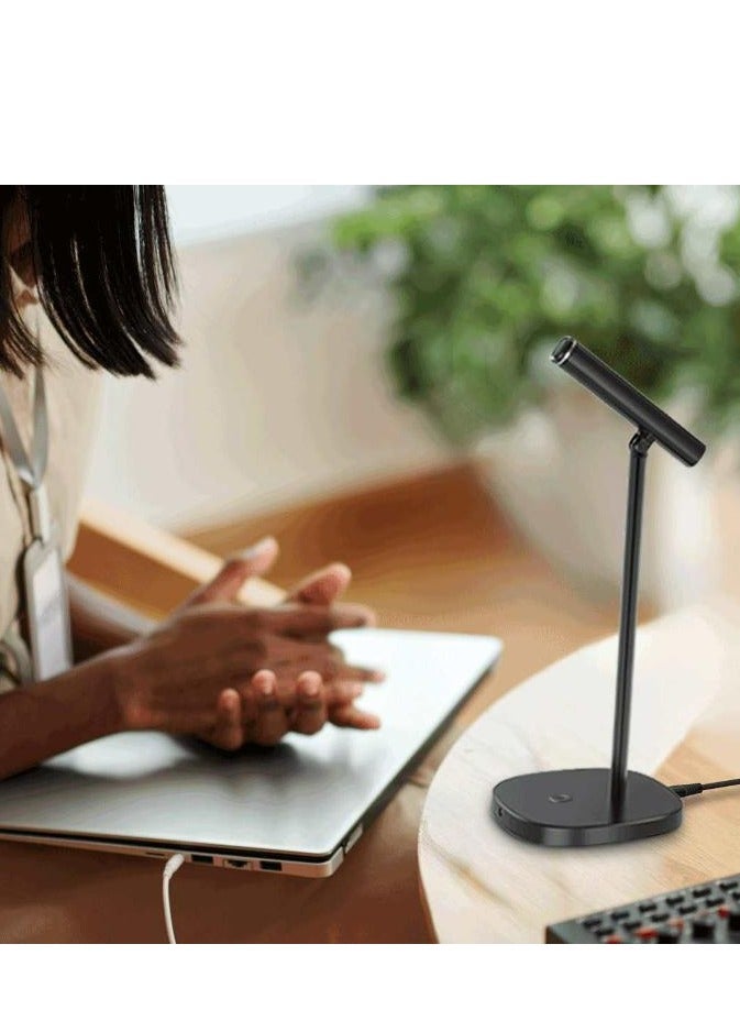 Desktop Tilt able USB Microphone with USB-C Data Cable - Black