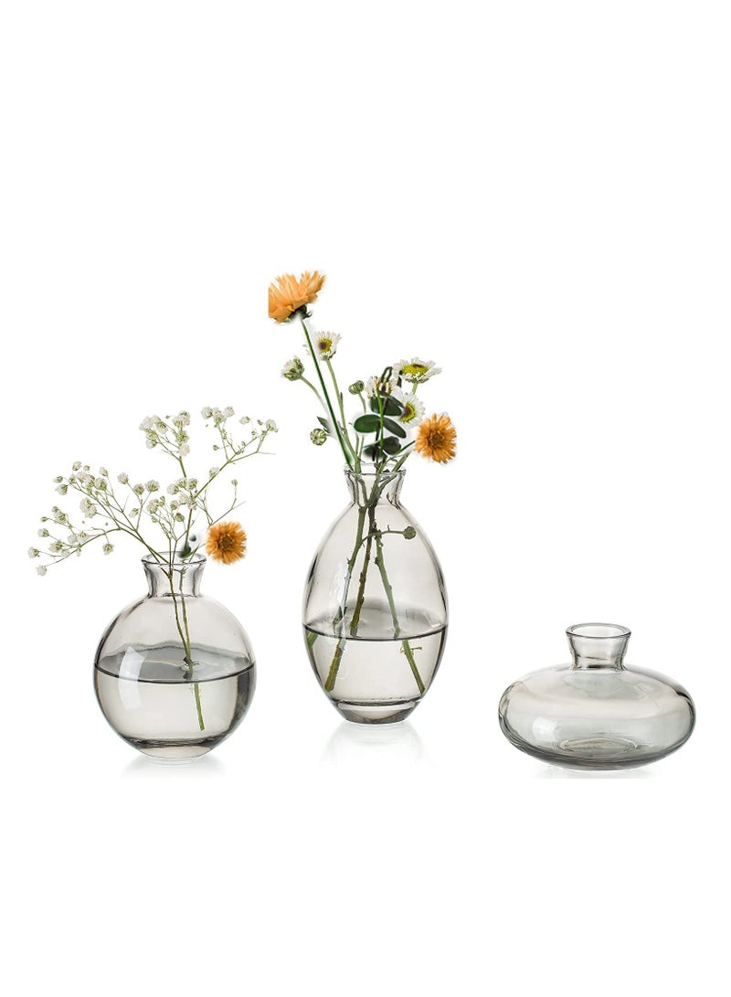 Set of 3 Glass Bud Vase Set - Black | Mini Glass Flower Vase for Floral Arrangements | Centerpiece for Home Office,Wedding, Events,Table Decor | Gifting (Black)