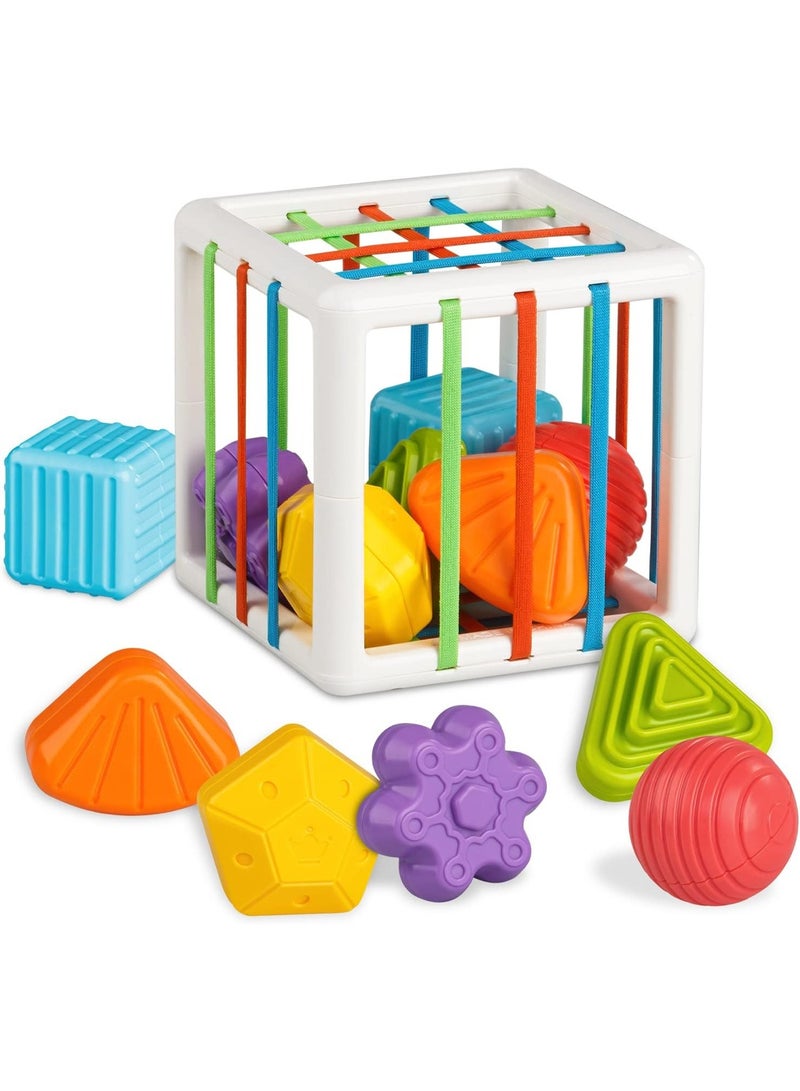 Montessori toys, Storage Box and 6 Sensory Shaped Blocks For Ages 1+