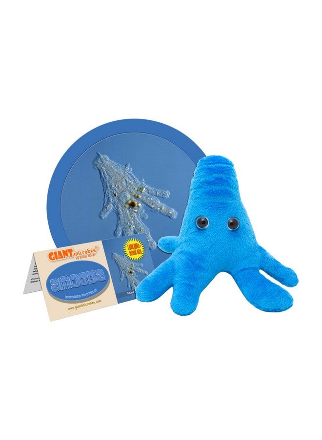 Giantmicrobes Amoeba Plush Learn About Nature And Biology With This Cuddly Plush Unique Gift For Family Friends Water Lovers Scientists Educators And Students