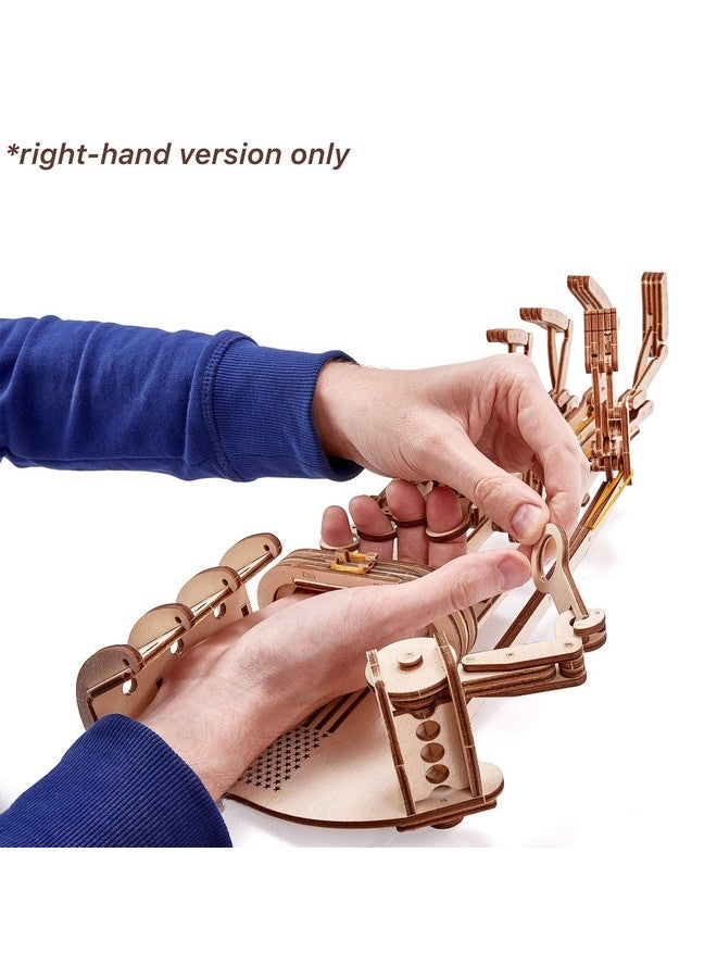 Wooden Robot Hand 3D Wooden Puzzle Robotic Hand Wood Model Kit To Build