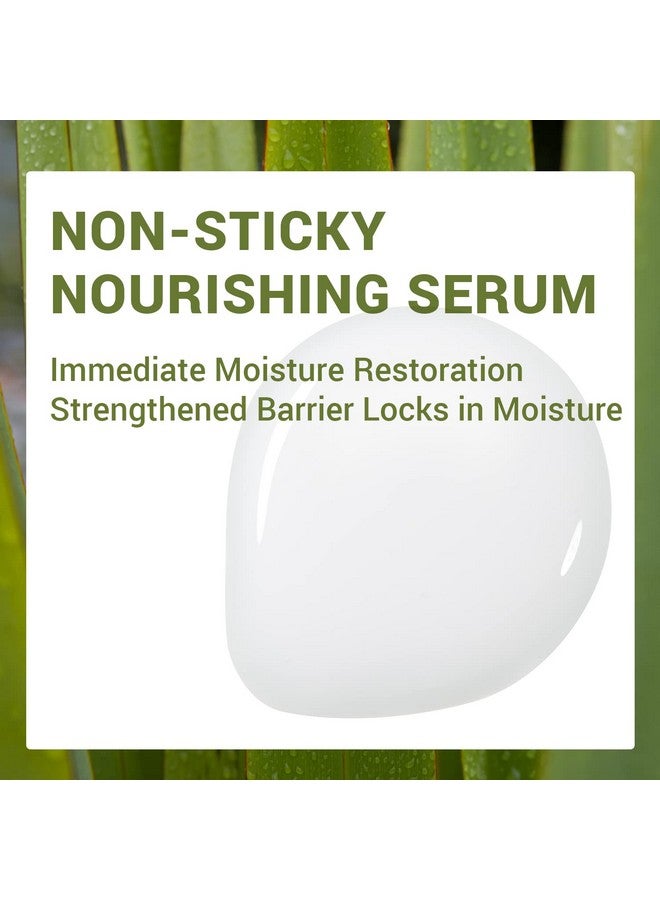 Urban Eco Harakeke Ampoule 1.52 Fl.Oz. Vegan Moisturizing Face Serum With Harakeke Extract And Hyaluronic Acid Hydrating Ampoule To Strengthen Skin Barrier