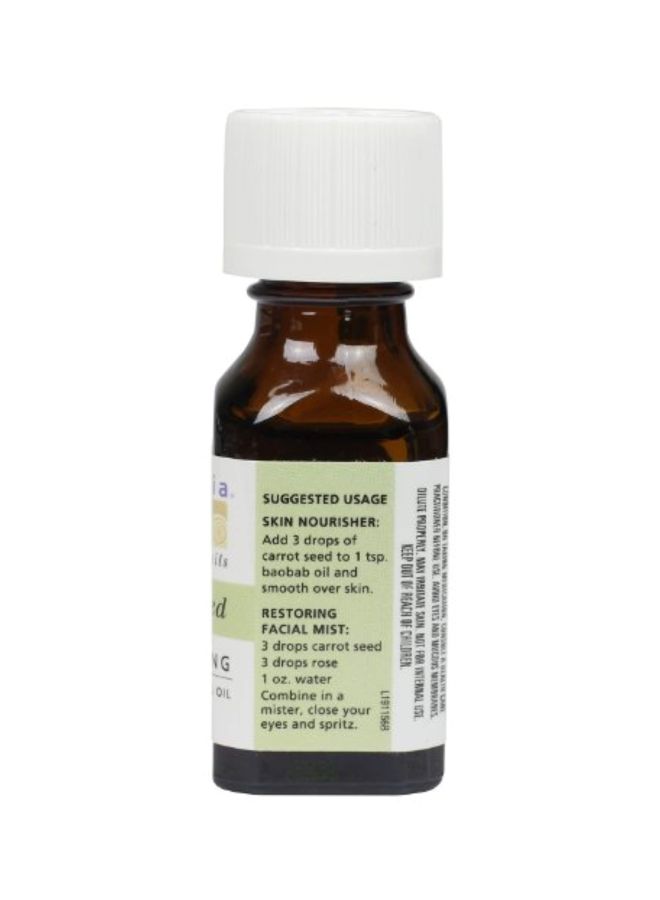 Carrot Seed Replenishing Essential Oil