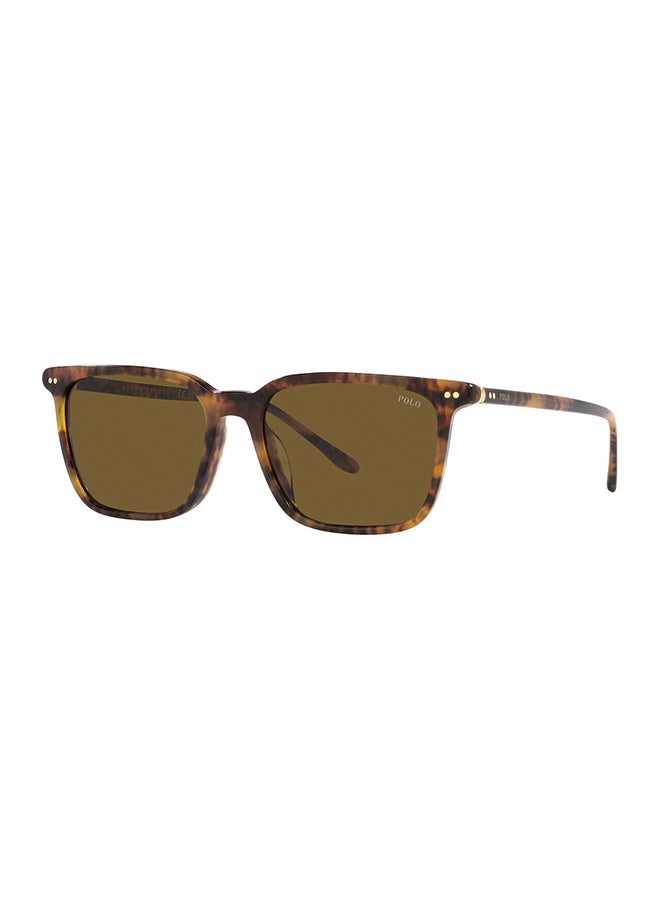 Men's Square Sunglasses - PH4194U 501773 56 - Lens Size: 56 Mm