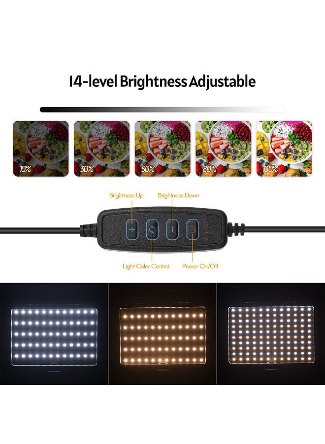 USB LED Video Light Kit Photography Lighting 3200K-5500K 120pcs Beads 14-level Dimmable with 58in Adjustable Height Tripod Stand