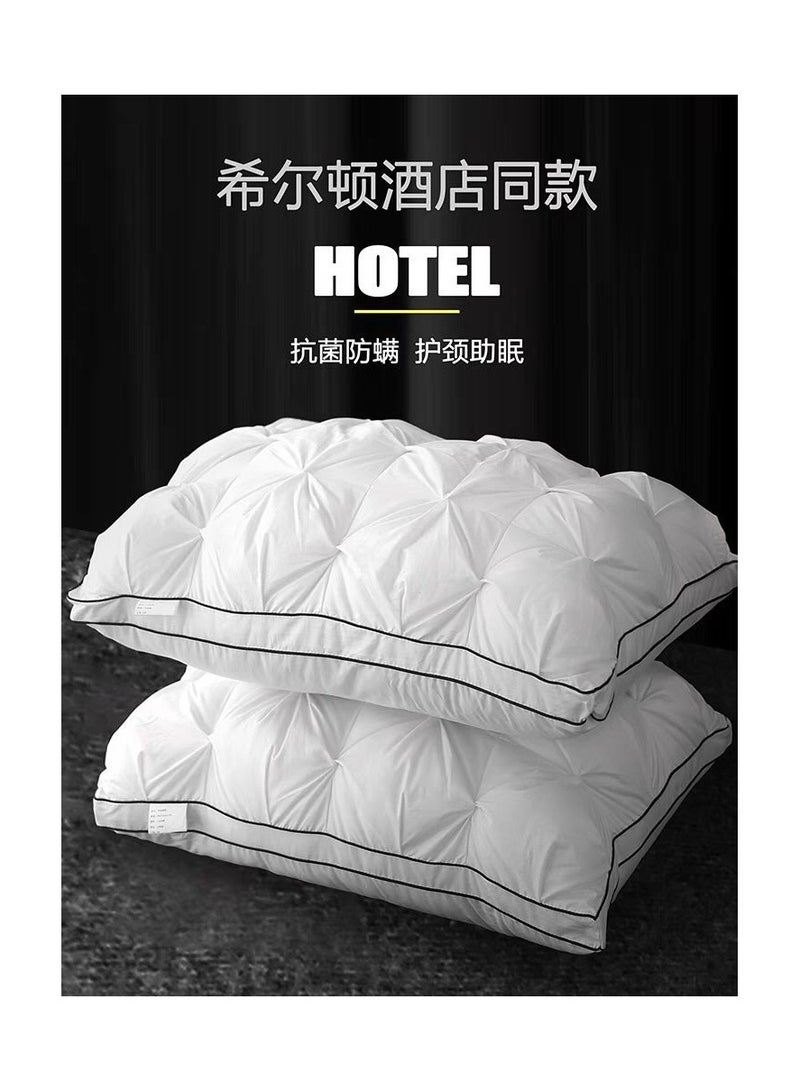 COMFY SOFT HOTEL QUALITY FEATHER FILLING SET OF 2 DOUBLE CORD PILLOW