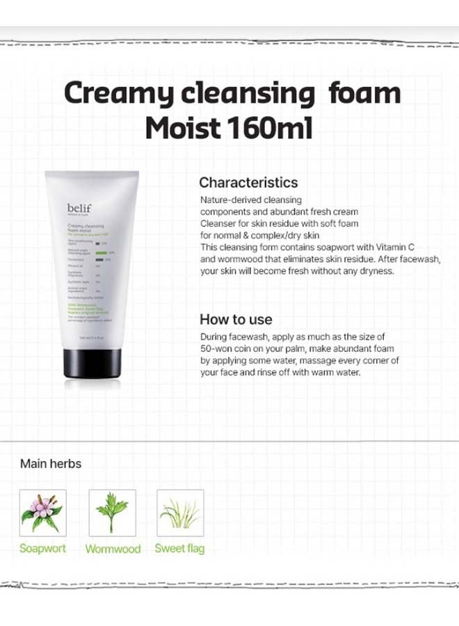 Creamy Cleansing Foam Moist 160ml