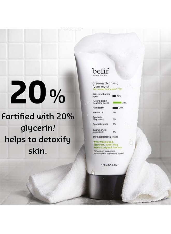 Creamy Cleansing Foam Moist 160ml