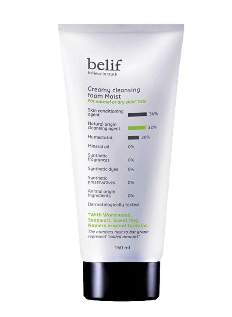 Creamy Cleansing Foam Moist 160ml