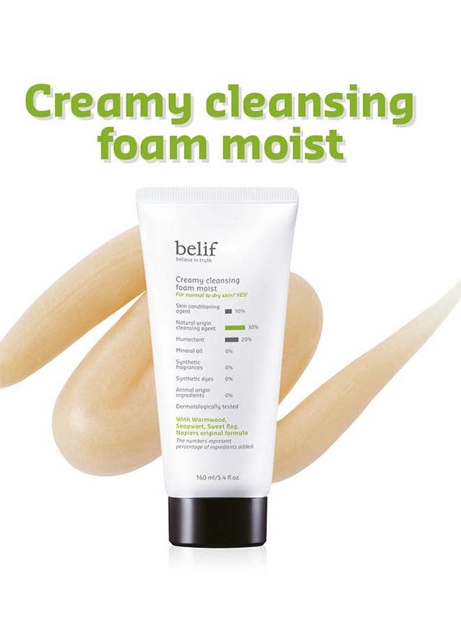 Creamy Cleansing Foam Moist 160ml