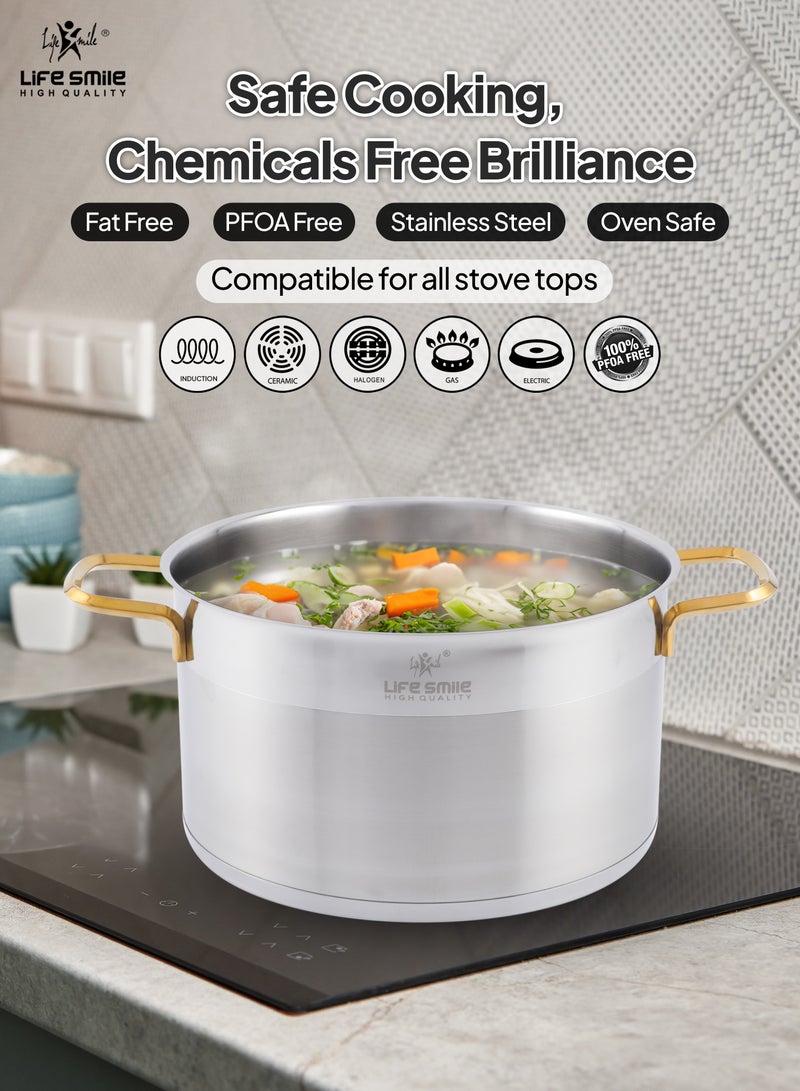 President Series Premium 18/10 Stainless Steel Cookware Set - Pots and Pans Set Induction 3-Ply Thick Base for Even Heating Includes Casserroles 16/20/24cm Oven Safe Silver Gold