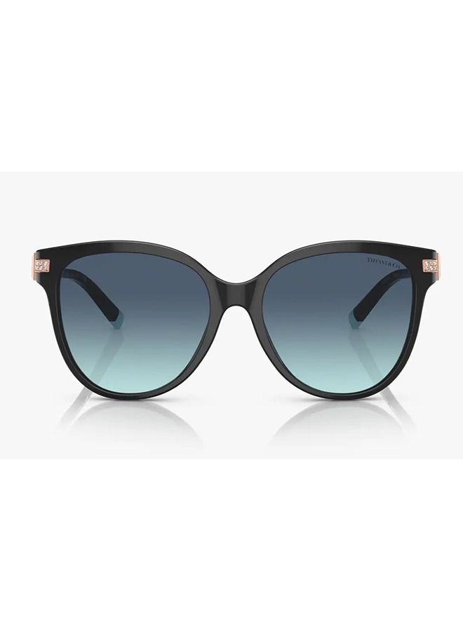 Women's Butterfly Shape Sunglasses - TF4193B 80019S 55 - Lens Size: 55 Mm