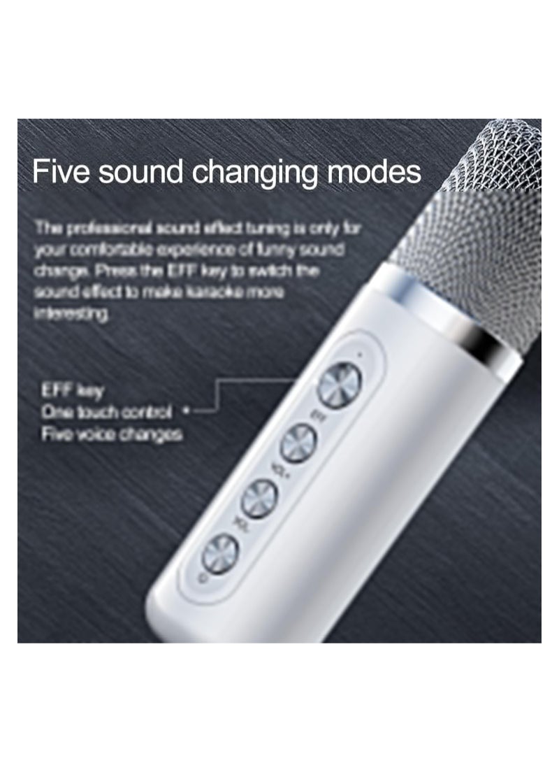 1 Set Bluetooth Speaker with Microphone 5.0 USB Charging Wireless Speakers with Bluetooth Surround Sound Portable Speaker for Smart TV Microphone with Speaker for Singing Red