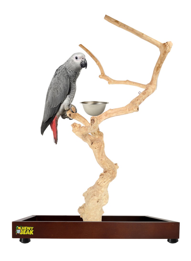 Bird Stand Table Top Natural wooden Parrot Play Stand Indonesian Java wood Tree Perches with Stainless steel feeder medium size