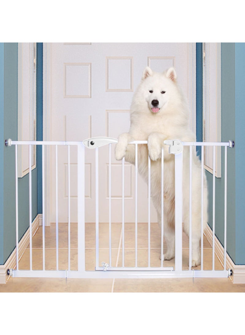 Safety Gate 30Cm Extension - White