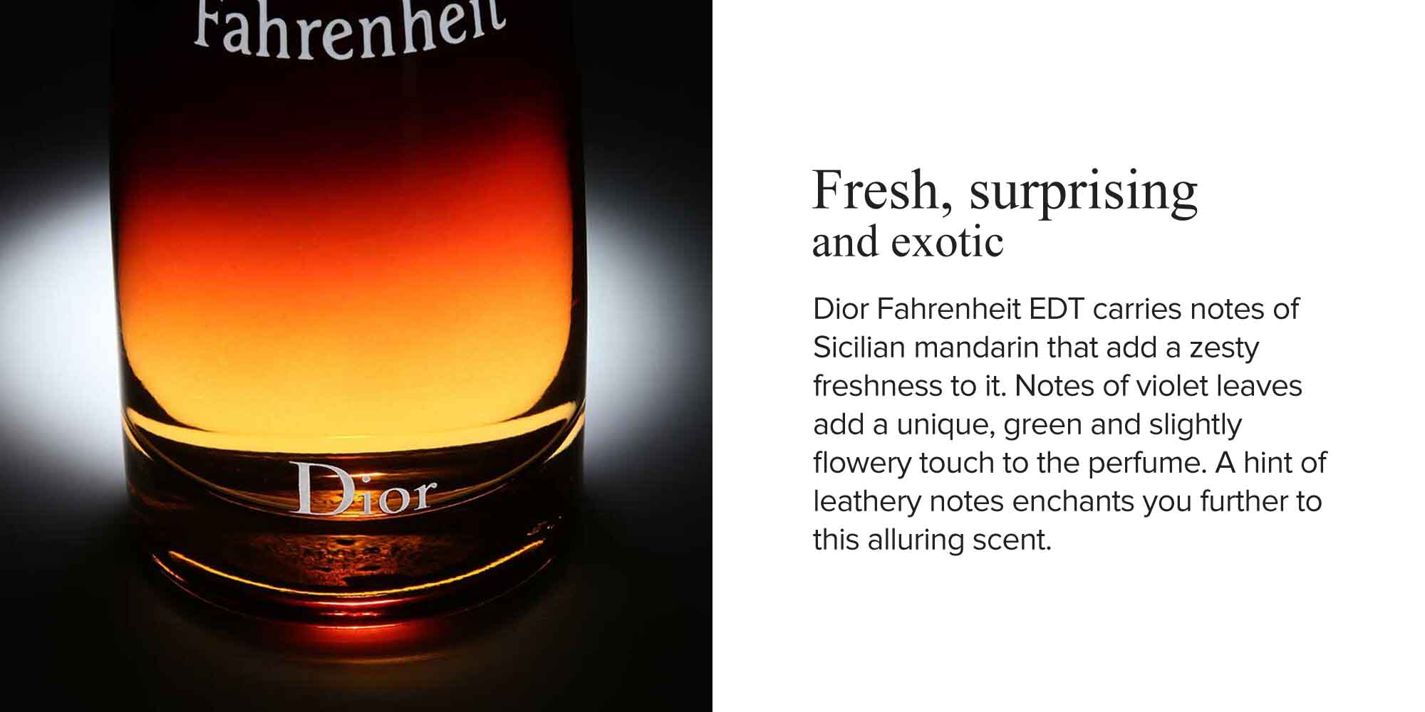 Fahrenheit EDT 100ml