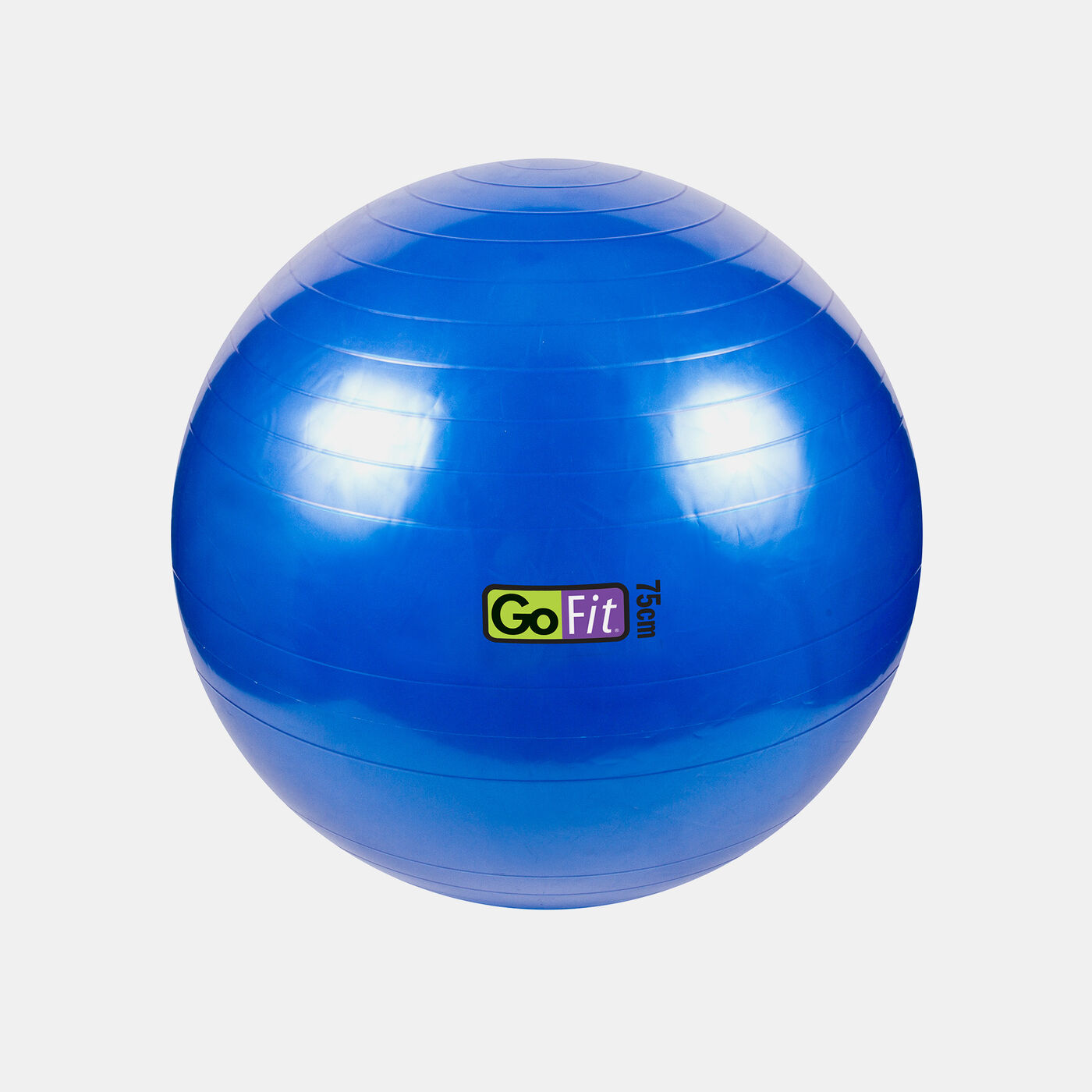Stability Gym Ball With Pump (75cm)