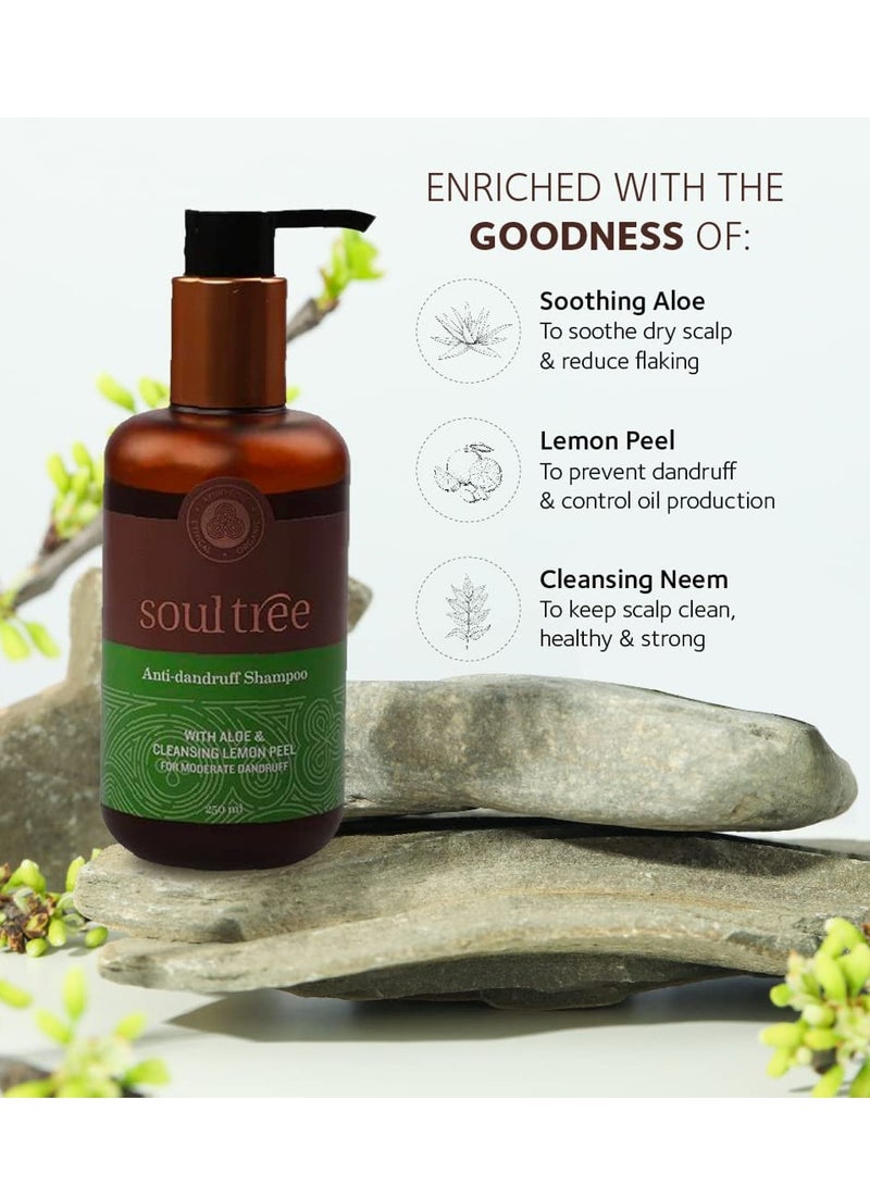 SoulTree Anti Dandruff Shampoo With Aloe Cleansing Lemon Peel For Moderate Dandruff 250ml