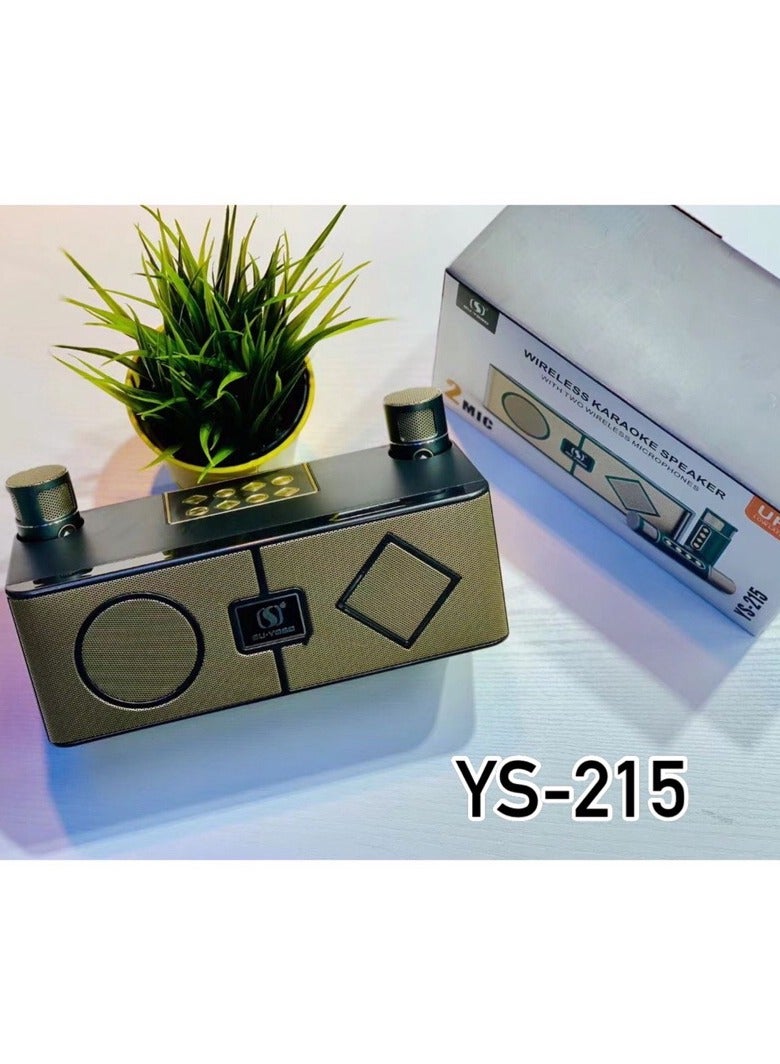 Ys-215 Portable Karaoke Sound System Outdoor Rock Speakers