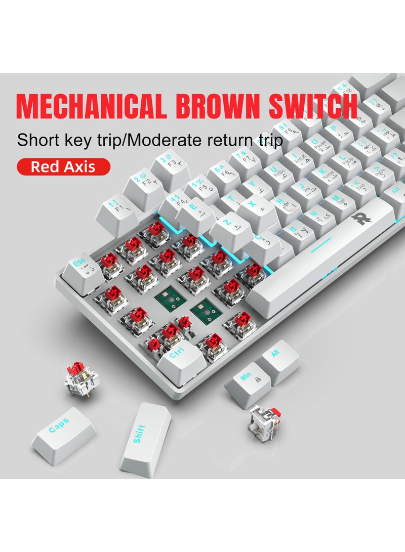 61keys 60% Mechanical Gaming Keyboard Arabic  Ice Blue Backlit Ultra-Compact Mini Keyboard, Mini Compact Keyboard for PC/Mac Gamer, Typist, Easy Carry on Trip