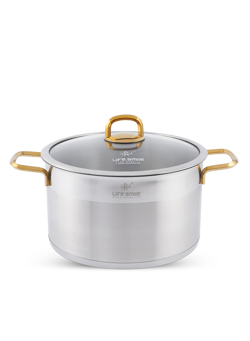 President Series Premium 18/10 Stainless Steel Cooking Pot - Induction 3-Ply Thick Base Casserrole with Glass Lid for Even Heating Oven Safe Silver Gold