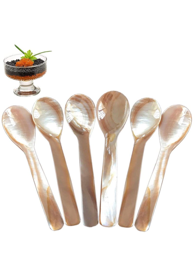 Caviar Spoons Set Coffee Color Spoon with Round Handle for Egg Serving Ice Cream Restaurant 6 Pieces 3.54 Inches