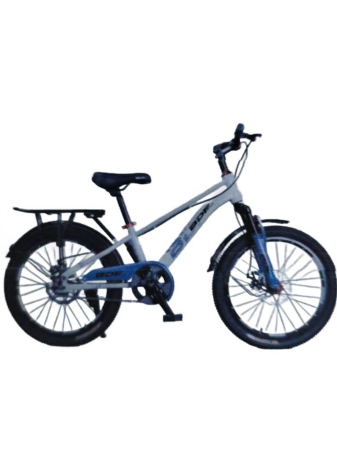 Bicycle 20 inch BDF - Gray