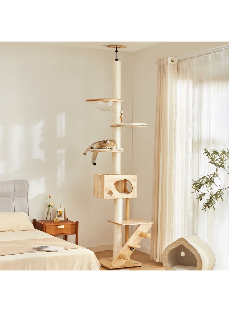 PETSBELLE High-End Multi-Level Ceiling-reaching Cat Tree Plus, Premium Rubber Wood Made, Condo & Scratching Posts, Bed, Transparent Capsule, Ladder, Super Stable (48x48 Adjustable Height 250-290cm）
