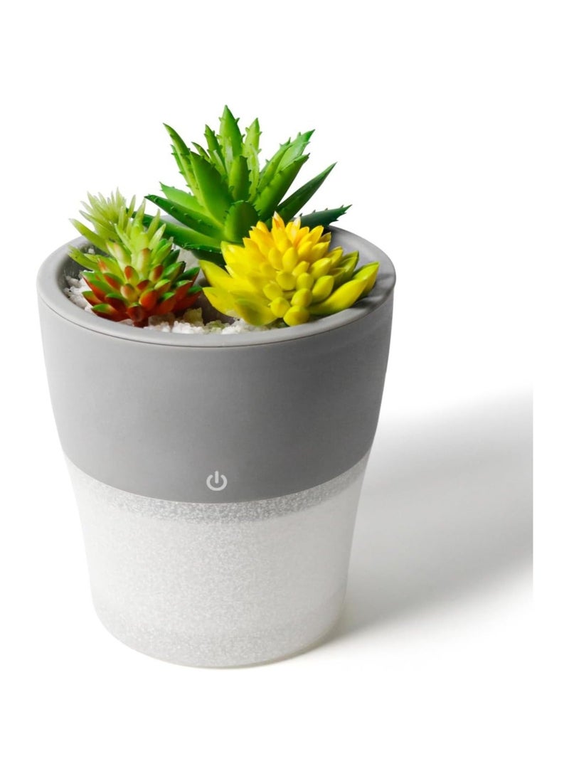 Small Humidifier, Humidifier for Bedroom, Artificial Succulent Plants Mini Humidifier for Bedroom Baby Home, Super Quiet and Waterless Auto Shut Off, Cool Mist Humidifier for Office, 150ml