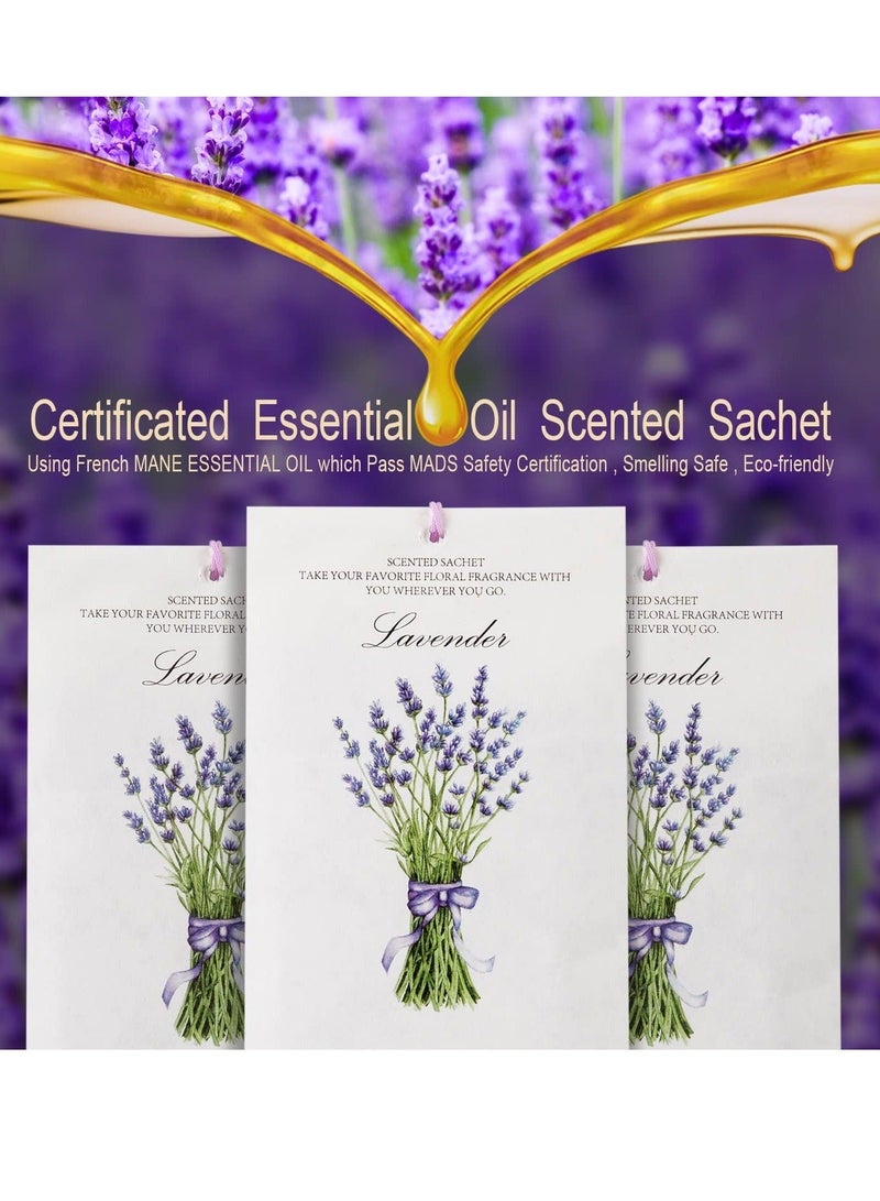 Lavender Sachet 1Box 12Pcs Scented Sachets Air Freshener for Drawer and Closet Long Lasting Sachets Bags Drawer deodorizers Fresh Scents Home Fragrance Sachet for Lover Home Car Fragrance Product