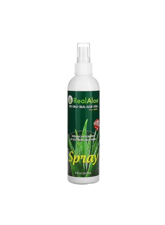 Aloe Vera Spray 8 fl oz 227 ml
