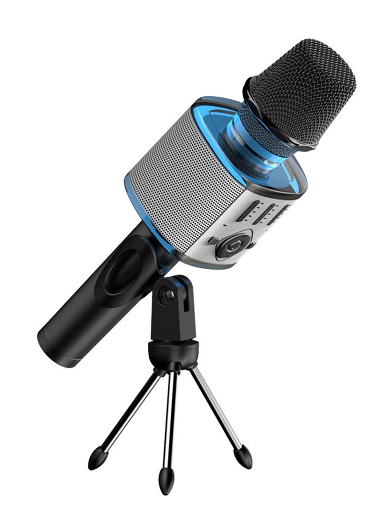 Karaoke Microphone Music Speaker
