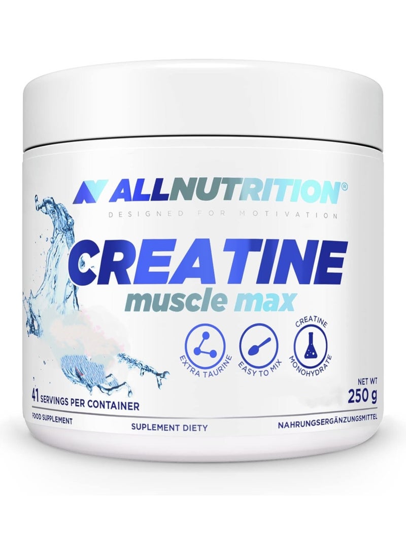 ALLNUTRITION Creatine Muscle Max Natural Flavor 41 Servings 250g