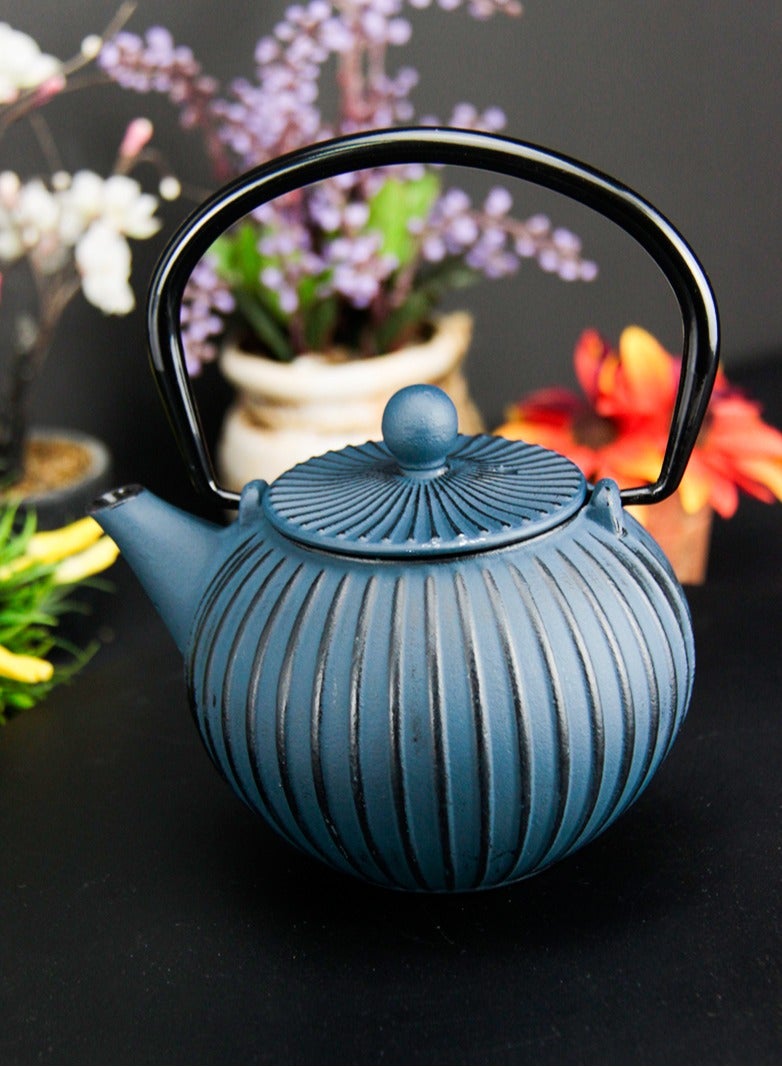 Durable Cast Iron Teapot With Infuser for Loose Tea Coated with Enameled Interior (0.5L) Blue&Black