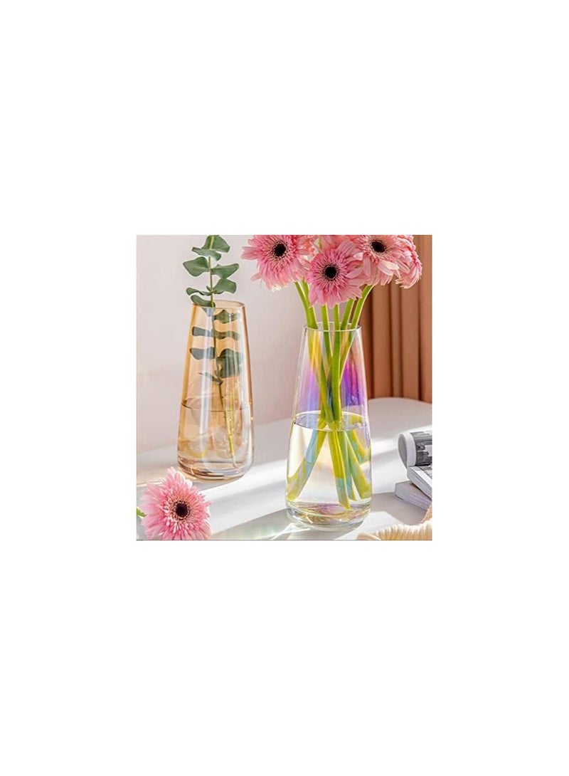 Ins Modern Glass Vase Irised Crystal Clear Glass Vase for Home Office Decor (Neon Clear)