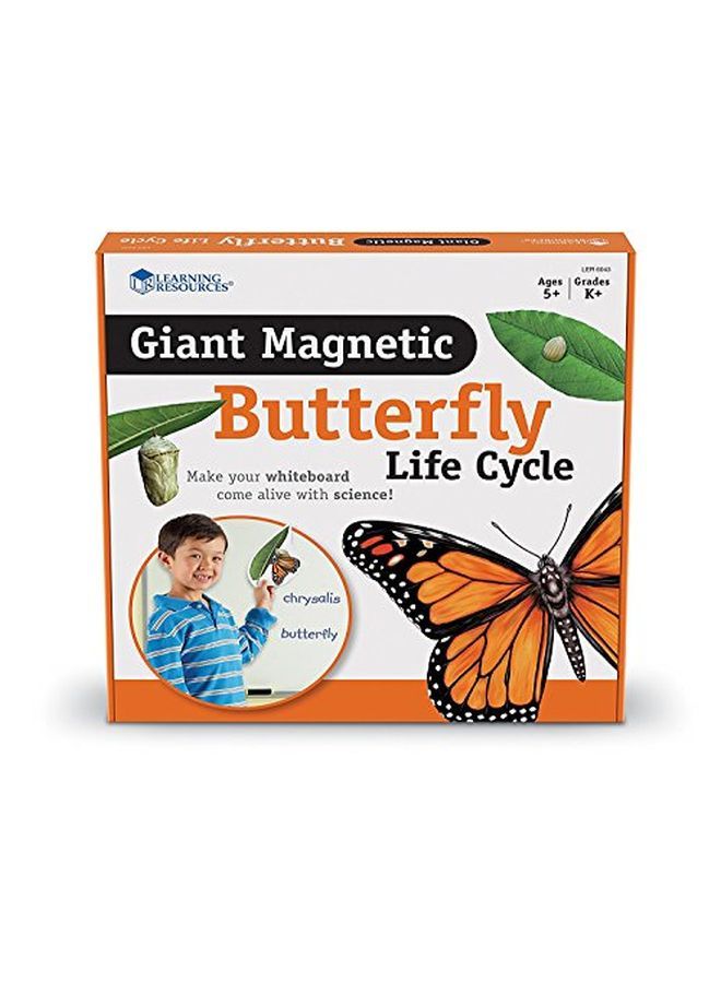 Butterfly Life Cycle 9 Write And Wipe Pieces Classroom Accessories Teaching Aids Ages 5+