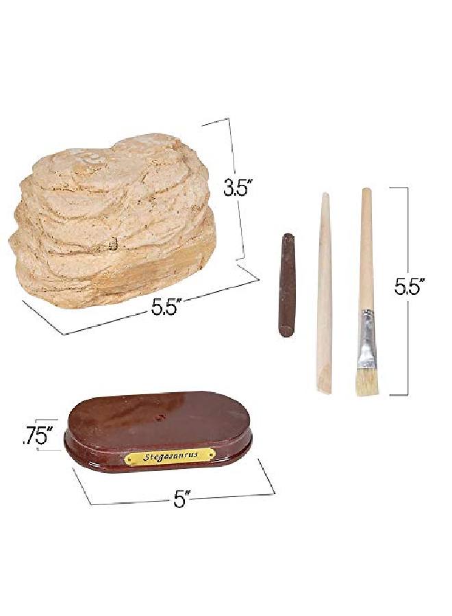 Dinosaur Excavation Kit For Kids 5.5? Stegosaurus Skull Excavating Set With Fossil Digging Tools And Stand Fun Science Activity Toy Educational Dinosaur Gift For Boys And Girls