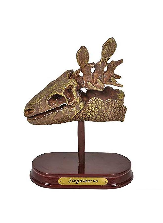 Dinosaur Excavation Kit For Kids 5.5? Stegosaurus Skull Excavating Set With Fossil Digging Tools And Stand Fun Science Activity Toy Educational Dinosaur Gift For Boys And Girls