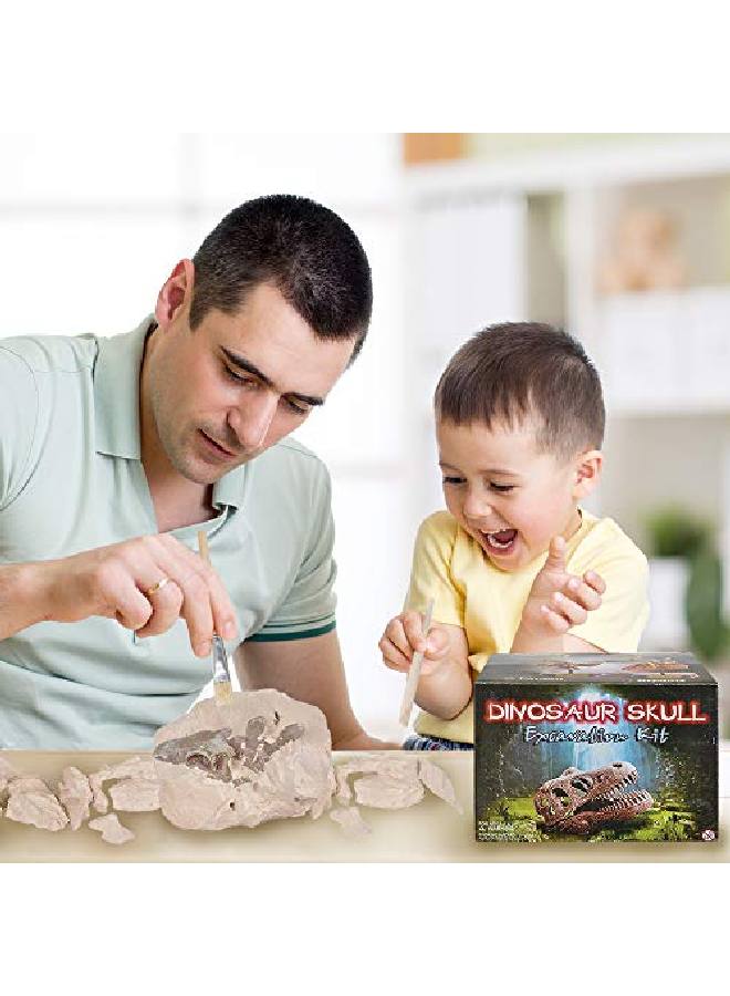 Dinosaur Excavation Kit For Kids 5.5? Stegosaurus Skull Excavating Set With Fossil Digging Tools And Stand Fun Science Activity Toy Educational Dinosaur Gift For Boys And Girls