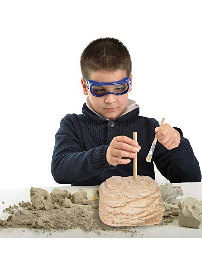 Dinosaur Excavation Kit For Kids 5.5? Triceratops Skull Excavating Set With Fossil Digging Tools And Stand Fun Science Activity Toy Educational Dinosaur Gift For Boys And Girls