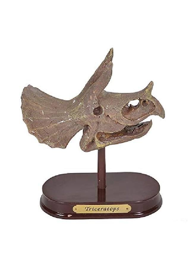 Dinosaur Excavation Kit For Kids 5.5? Triceratops Skull Excavating Set With Fossil Digging Tools And Stand Fun Science Activity Toy Educational Dinosaur Gift For Boys And Girls