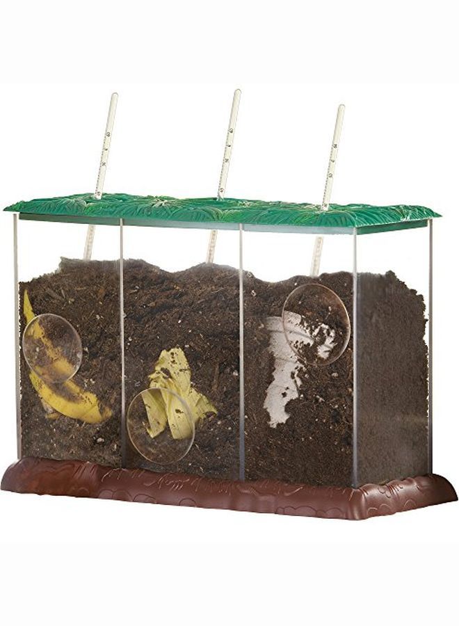 Seethrough Compost Container Learn About Decomposition Environmental Education